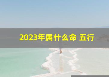 2023年属什么命 五行